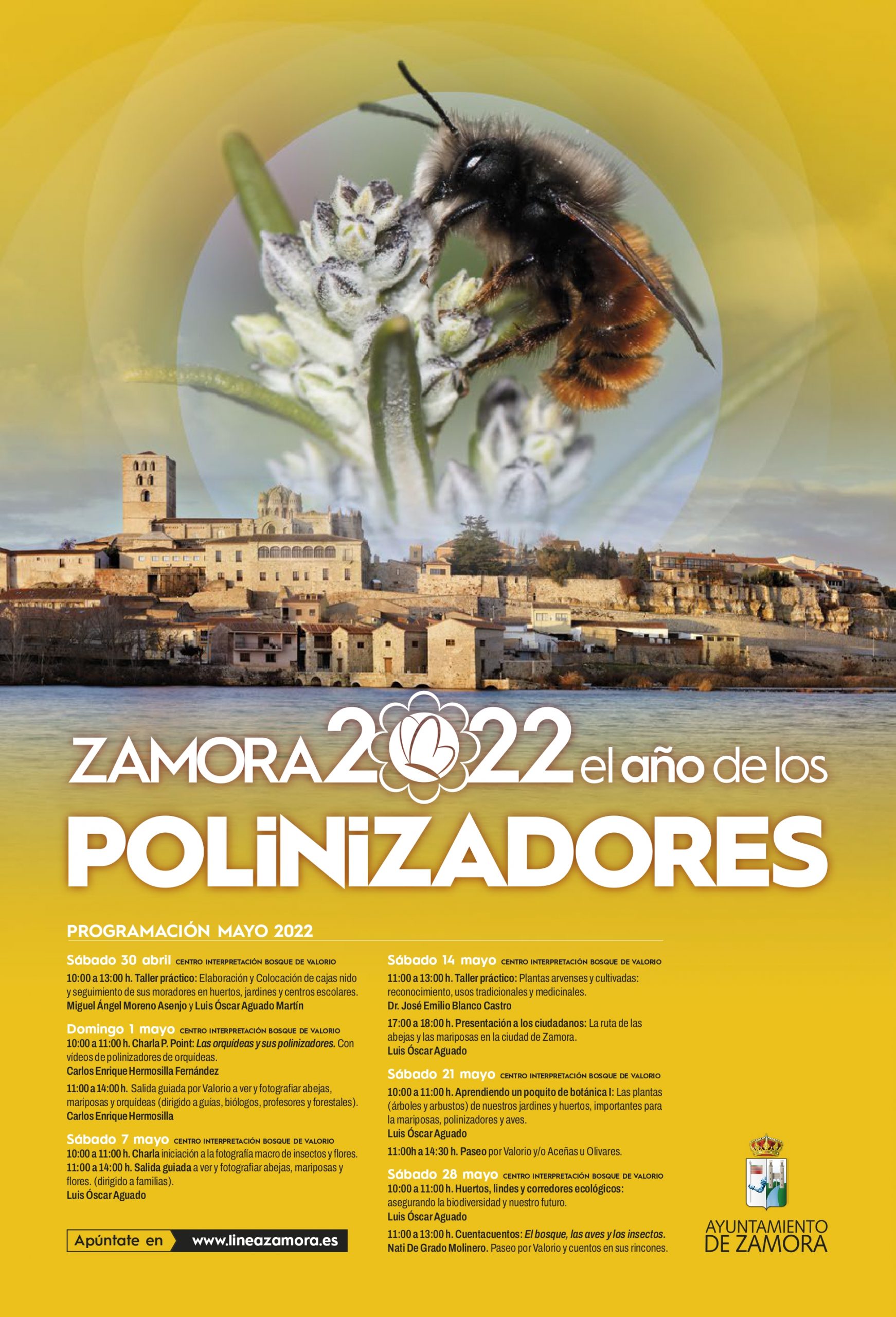 Zamora 2022: el año de los polinizadores. Zamora Inquieta. ZINQ. Turismo