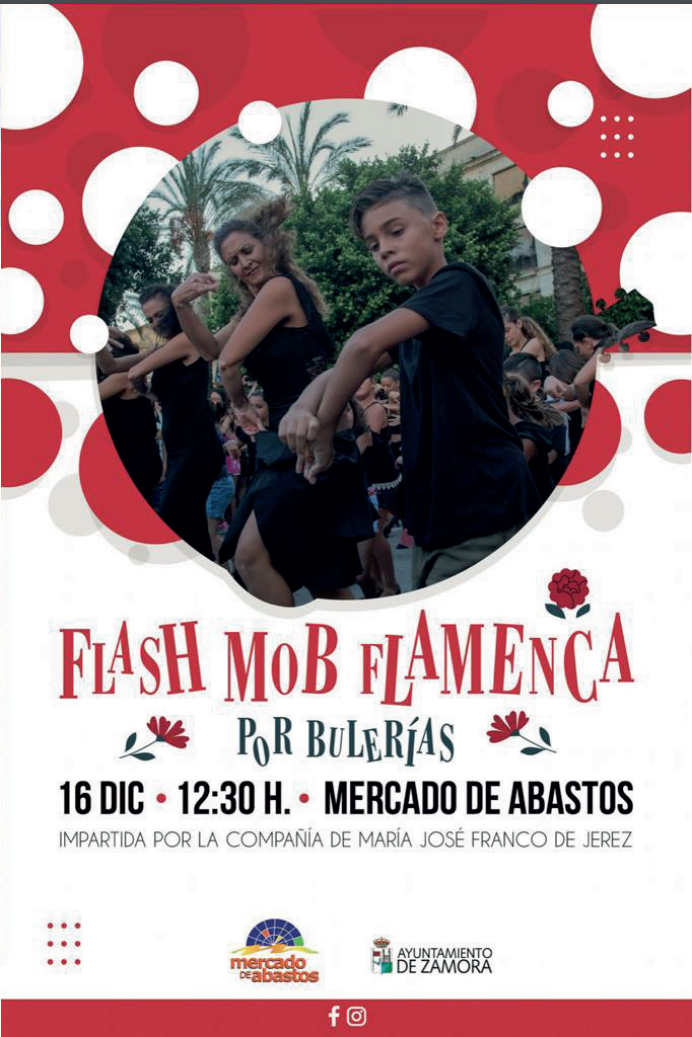 flamenco, mercado de abastos, zamora inquieta, flash mob